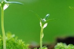一位道友出窍的几次经历