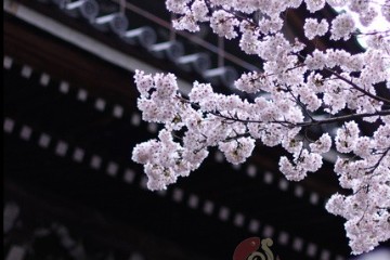 须菩提祖师传给孙悟空的修行口诀