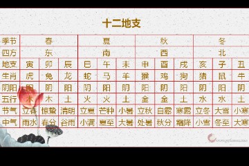 黄无说八字基础篇（5）十二地支