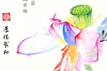 慧根浅，死做功夫而悟的，往往触动比较大