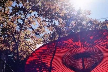 立秋丨听一曲《秋风词》：唯愿秋日安康，清凉伴你左右