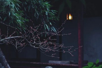 立秋 | 赏一曲《秋夜读易》虫声窗外月,书册夜深灯