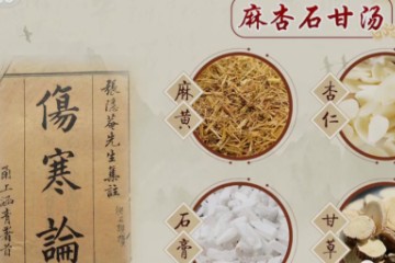 抗疫功臣 | “清肺排毒汤”功效机理揭秘