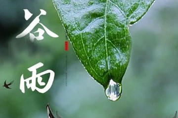关于“久参迟悟”