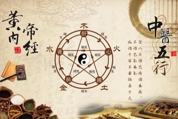 2020中医执业《内经》30条
