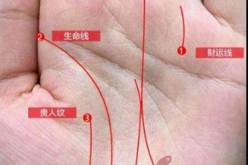 对照手相图解看手相(手相全攻略)