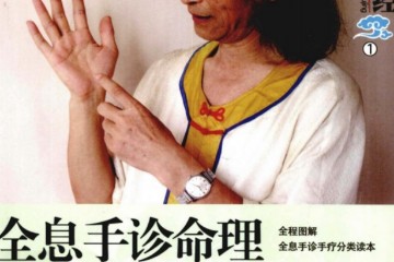 全息手诊命理