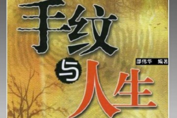 手纹与人生 邵伟华