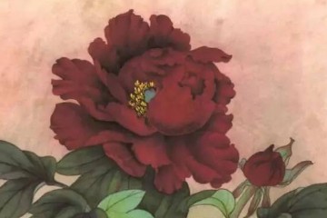 【国画教程】工笔牡丹