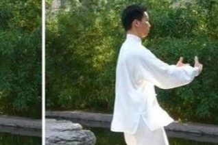 站桩过程中分析