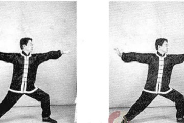 南少林秘传功力拳
