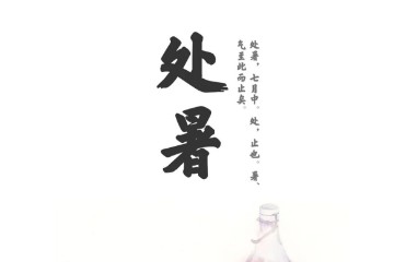 呼吸实验