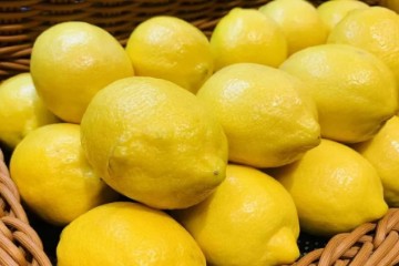 【健康养生】防秋燥先润肺，脾胃虚宜清补…… 立秋时节养生记牢这四点！