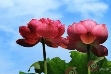 ​你所给予的，都会回到你身上