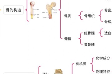 【运动解剖】骨骼运动系统|思维导图