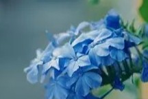 中医揭秘，疾病的根源（第一章）
