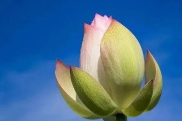 中元节有些话是万万不能说的，会很灵验的！不信你看！