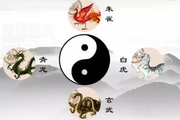 陈有道——玄空风水