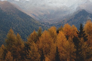 在我们有所成就后，更不能忘了这个字