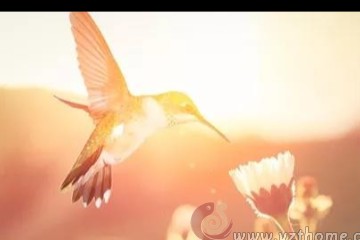 你的阳气！三种方法补回来。