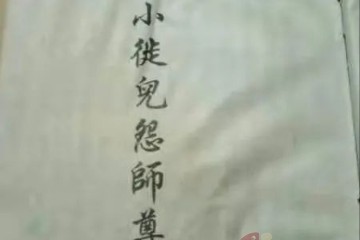 小徒儿怨师尊