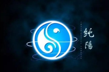 道医纯阳术动作视频