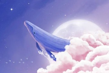 一文读懂：双一流、C9、34所、985、小985、211、小211重点大学！