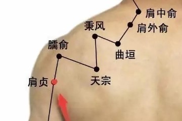 点揉后溪穴不仅防治肩颈问题，保护视力、缓解疲劳、补精益气的功效。
