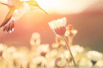 流行衣饰这个事物就在火这个五行里涵盖，发华之谓也。也在食伤这个十神概念下涵盖