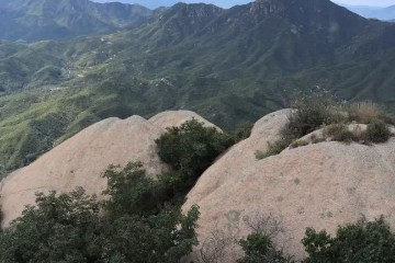 神功坊：武当太乙纯阳(站桩)内丹功