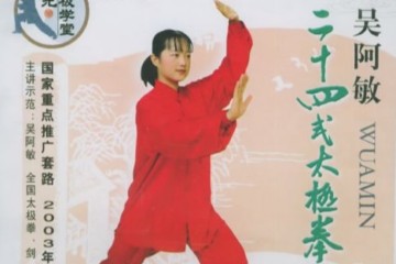 吴阿敏24式太极拳 示范视频