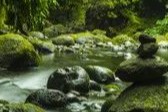 医道养生 |南怀瑾：这样做近视会减轻