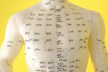 经络穴位一10.6