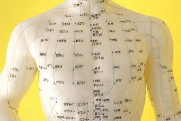 经络穴位二10.16