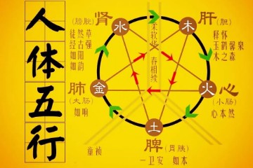 入门中医必读，一文读懂五行学说！