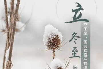 今日立冬 | 立冬至，寒意侵，冬天来了