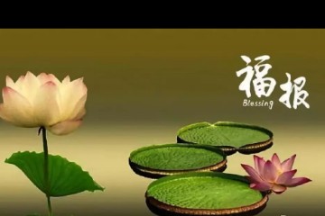 一日三善：语善、眼善、行善，气质必变！