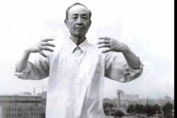 大成拳的养生桩-混元桩（附站桩日记）