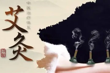  常见疾病的艾灸治疗 全12集