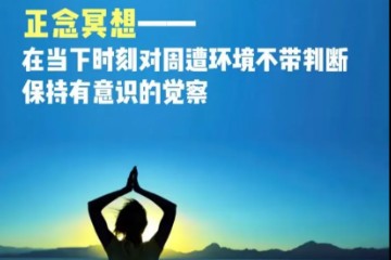 正念冥想训练课程 合集