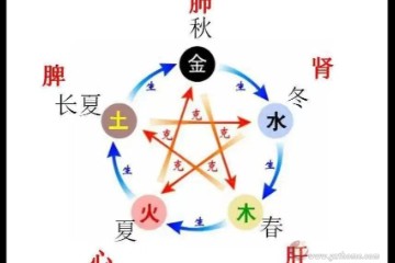 了真老师传：五星的力量