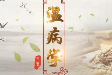 温病电子书