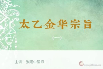 太乙金华宗旨 张翔中医师 高清视频 01/36