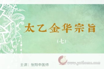太乙金华宗旨 张翔中医师 高清视频 07/36