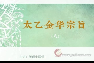 太乙金华宗旨 张翔中医师 高清视频 08/36