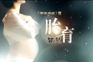 【名家】曲黎敏——黄帝内经 - 胎育智慧